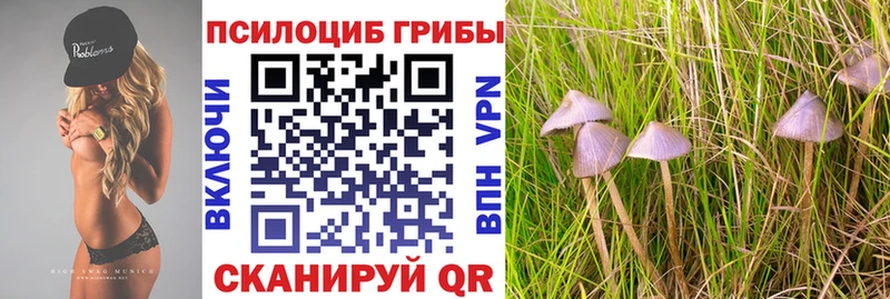 Галлюциногенные грибы MAGIC MUSHROOMS Камышлов