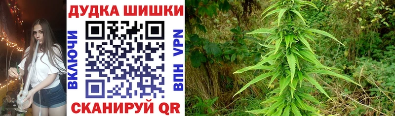 МАРИХУАНА SATIVA & INDICA  Камышлов 